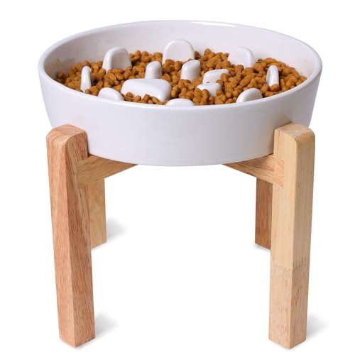 Futternapf für Hunde, 3 Tassen, Keramik, Futternäpfe für mittelgroße Rassen, lustige, erhöhte Hundenäpfe mit Holzständer, um das Essen zu verlangsamen, Weiß Futternapf für Hunde, 3 Tassen, Keramik, Futternäpfe für mittelgroße Rassen, lustige, erhöhte Hundenäpfe mit Holzständer, um das Essen zu verlangsamen, Weiß von GDCZ