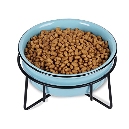 GDCZ Ceramics Erhöhter Katzennapf für kleine Hunde mit erhöhtem Metallständer für Tierfutter, 425 ml (türkis) von GDCZ