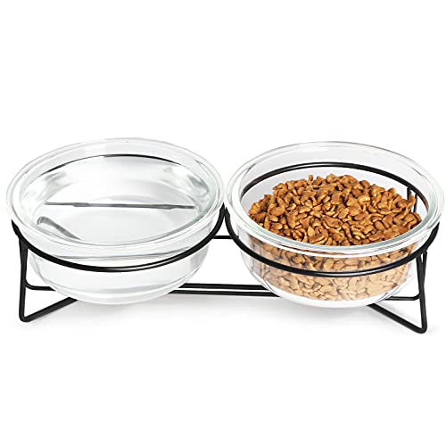 GDCZ Erhöhter Futternapf für Katzen oder kleine Hunde, aus Glas, mit erhöhtem Metallständer, für Tiernahrung und Wassernapf, 510 ml, transparent von GDCZ