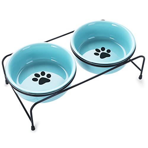 GDCZ Erhöhter Katzen- oder kleine Hundenäpfe aus Porzellan, mit erhöhtem Metallständer und rutschfester Unterseite, 425 ml (türkis) von GDCZ