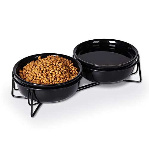 GDCZ Keramik-Näpfe für kleine Hunde mit erhöhtem Metallständer für Haustierfutter und Wasserschalen, 425 ml (schwarz) von GDCZ