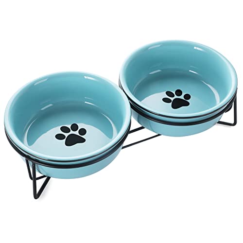 GDCZ Porzellan-Futternäpfe für kleine Katzen, mit erhöhtem Metallständer für Tierfutter und Wasserschalen, 425 ml (türkis) von GDCZ