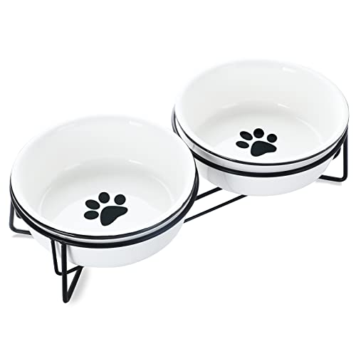 GDCZ Porzellan-Futternäpfe für kleine Katzen, mit erhöhtem Metallständer für Tierfutter und Wasserschalen, 425 ml (weiß) von GDCZ
