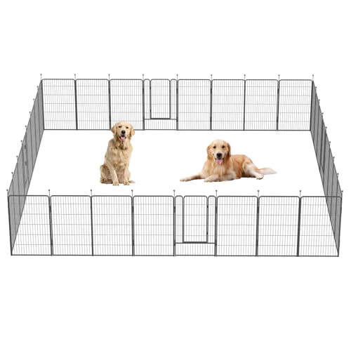 Hunde-Laufstall, 81,3 cm / 101,6 cm hoch, robust, zusammenklappbar, für drinnen und draußen, rostfrei, tragbarer Haustier-Laufstall mit Tür für große, mittelgroße und kleine Hunde und Haustiere (32 Hunde-Laufstall, 81,3 cm / 101,6 cm hoch, robust, zusammenklappbar, für drinnen und draußen, rostfrei, tragbarer Haustier-Laufstall mit Tür für große, mittelgroße und kleine Hunde und Haustiere (32 von GDKASRNY