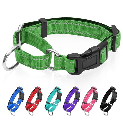 GDLKPS Reflektierendes Martingale-Hundehalsband, Hundehalsband mit Schnellverschluss-Schnalle, Verstellbares, weich gepolstertes, atmungsaktives Nylon, Haustierhalsband, geeignet für Welpen für GDLKPS Reflektierendes Martingale-Hundehalsband, Hundehalsband mit Schnellverschluss-Schnalle, Verstellbares, weich gepolstertes, atmungsaktives Nylon, Haustierhalsband, geeignet für Welpen für von GDLKPS