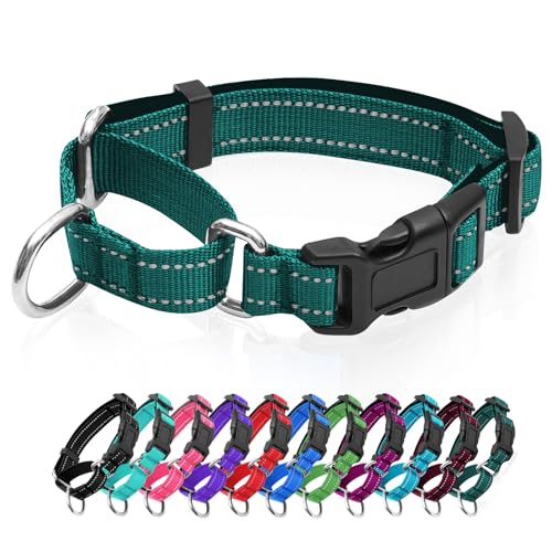 Reflektierendes Martingale-Hundehalsband, Hundehalsband mit Schnellverschluss-Schnalle, Verstellbares, weich gepolstertes, atmungsaktives Nylon-Haustierhalsband, geeignet für Welpen für kleine, Reflektierendes Martingale-Hundehalsband, Hundehalsband mit Schnellverschluss-Schnalle, Verstellbares, weich gepolstertes, atmungsaktives Nylon-Haustierhalsband, geeignet für Welpen für kleine, von GDLKPS