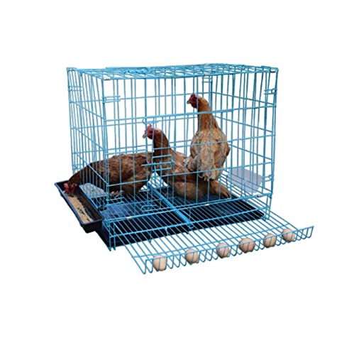 GDSCSKKS Drahtkäfig für Huhn, Ente und Gänse, mit Futterspender, Matte, Hocker-Ablagetablett und Eiern automatisch ausgeworfen (Farbe: Blau, Größe: 70 x 49 x 60 cm) von GDSCSKKS