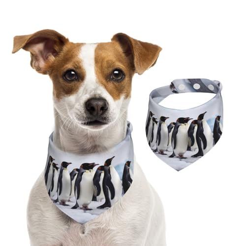 Sommerhalstücher für Hunde, Antarktis, Pinguine, Hundehalstücher, waschbar, verstellbar, dreieckig, niedliches Haustier-Lätzchen für mittelgroße und große Hunde, Welpen und Katzen, klein von GDSHJKLW