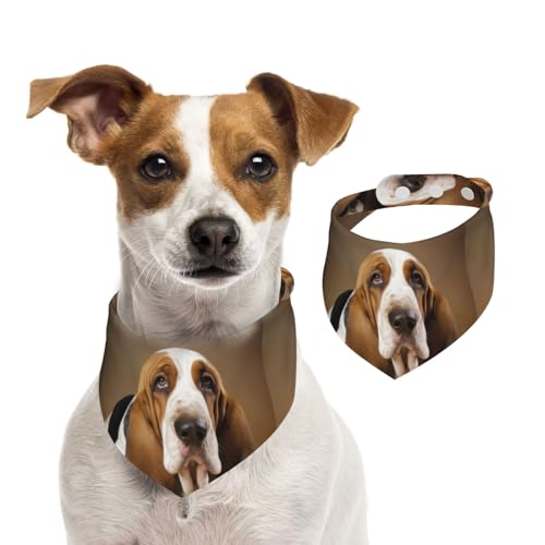 Sommerhalstücher für Hunde, Basset Hound, Hundehalstücher, waschbar, verstellbar, dreieckig, niedlich, für mittelgroße und große Hunde, Welpen und Katzen, Größe M von GDSHJKLW