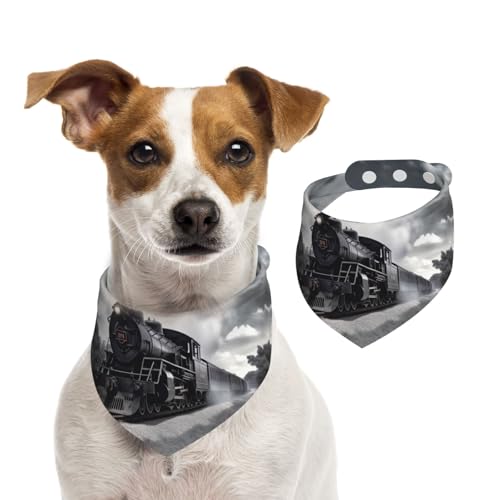 Sommerhalstücher für Hunde, Dampfzug, Wolken, Hundehalstücher, waschbar, verstellbar, Dreieckstuch Lätzchen für mittelgroße und große Hunde, Welpen und Katzen, klein Sommerhalstücher für Hunde, Dampfzug, Wolken, Hundehalstücher, waschbar, verstellbar, Dreieckstuch Lätzchen für mittelgroße und große Hunde, Welpen und Katzen, klein von GDSHJKLW
