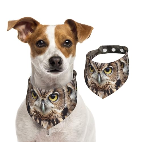 Sommerhalstücher für Hunde, Eule, Vögel, Hundehalstücher, waschbar, verstellbar, dreieckig, niedlich, für mittelgroße und große Hunde, Welpen und Katzen, klein Sommerhalstücher für Hunde, Eule, Vögel, Hundehalstücher, waschbar, verstellbar, dreieckig, niedlich, für mittelgroße und große Hunde, Welpen und Katzen, klein von GDSHJKLW