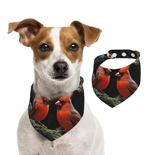 Sommerhalstücher für Hunde, Kardinäle, Vögel, Fauna, Wildhunde, Halstücher, waschbar, verstellbar, dreieckig, niedlich, Haustier-Lätzchen für mittelgroße und große Hunde, Welpen und Katzen, Größe M Sommerhalstücher für Hunde, Kardinäle, Vögel, Fauna, Wildhunde, Halstücher, waschbar, verstellbar, dreieckig, niedlich, Haustier-Lätzchen für mittelgroße und große Hunde, Welpen und Katzen, Größe M von GDSHJKLW