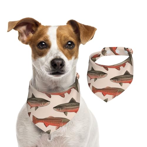 Sommerhalstücher für Hunde, Lachs, waschbar, verstellbar, dreieckig, niedlich, für mittelgroße und große Hunde, Welpen und Katzen, Größe M Sommerhalstücher für Hunde, Lachs, waschbar, verstellbar, dreieckig, niedlich, für mittelgroße und große Hunde, Welpen und Katzen, Größe M von GDSHJKLW