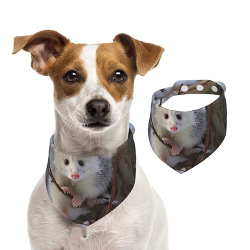 Sommerhalstücher für Hunde, Opossum im Schnee, Hundehalstücher, waschbar, verstellbar, dreieckig, niedlich, Haustier-Lätzchen für mittelgroße und große Hunde, Welpen und Katzen, Größe M von GDSHJKLW