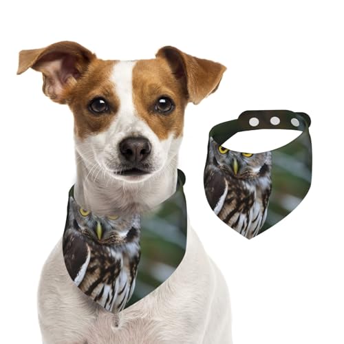 Sommerhalstücher für Hunde, Wildeule, Vögel, Hundehalstücher, waschbar, verstellbar, dreieckig, niedlich, für mittelgroße und große Hunde, Welpen und Katzen, Größe M Sommerhalstücher für Hunde, Wildeule, Vögel, Hundehalstücher, waschbar, verstellbar, dreieckig, niedlich, für mittelgroße und große Hunde, Welpen und Katzen, Größe M von GDSHJKLW
