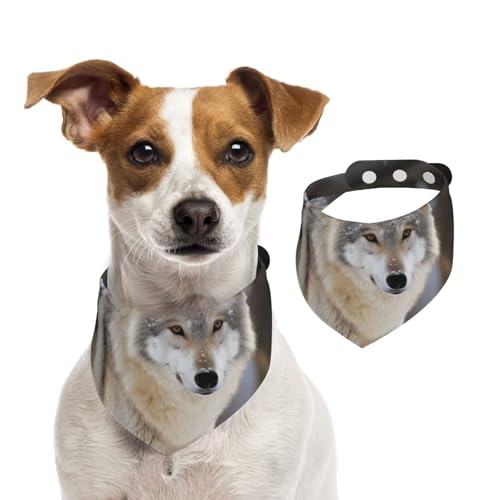 Sommerhalstücher für Hunde, Wolf im Schnee, Hundehalstücher, waschbar, verstellbar, dreieckig, niedlich, für mittelgroße und große Hunde, Welpen und Katzen, Größe L Sommerhalstücher für Hunde, Wolf im Schnee, Hundehalstücher, waschbar, verstellbar, dreieckig, niedlich, für mittelgroße und große Hunde, Welpen und Katzen, Größe L von GDSHJKLW