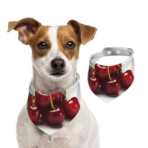 Sommerhalstücher für Hunde, chilenische Kirschen, Hundehalstücher, waschbar, verstellbar, dreieckig, niedliches Haustier-Lätzchen für mittelgroße und große Hunde, Welpen und Katzen, Größe L Sommerhalstücher für Hunde, chilenische Kirschen, Hundehalstücher, waschbar, verstellbar, dreieckig, niedliches Haustier-Lätzchen für mittelgroße und große Hunde, Welpen und Katzen, Größe L von GDSHJKLW