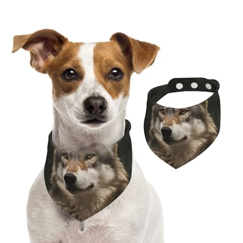 Sommerhalstücher für Hunde, grau, Wolf, waschbar, verstellbar, dreieckig, niedliches Haustier-Lätzchen für mittelgroße und große Hunde, Welpen und Katzen, klein Sommerhalstücher für Hunde, grau, Wolf, waschbar, verstellbar, dreieckig, niedliches Haustier-Lätzchen für mittelgroße und große Hunde, Welpen und Katzen, klein von GDSHJKLW