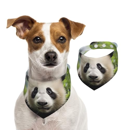 Sommerhalstücher für Hunde, niedlicher Bär, Hundehalstücher, waschbar, verstellbar, dreieckig, Lätzchen für mittelgroße und große Hunde, Welpen und Katzen, klein Sommerhalstücher für Hunde, niedlicher Bär, Hundehalstücher, waschbar, verstellbar, dreieckig, Lätzchen für mittelgroße und große Hunde, Welpen und Katzen, klein von GDSHJKLW
