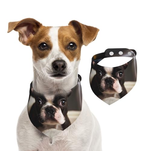 Sommerhalstücher für Hunde, niedlicher Boston Terrier, Hundehalstücher, waschbar, verstellbar, dreieckig, Lätzchen für mittelgroße und große Hunde, Welpen und Katzen, Größe M Sommerhalstücher für Hunde, niedlicher Boston Terrier, Hundehalstücher, waschbar, verstellbar, dreieckig, Lätzchen für mittelgroße und große Hunde, Welpen und Katzen, Größe M von GDSHJKLW