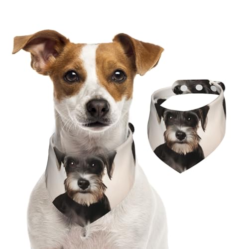 Sommerhalstücher für Hunde, niedliches Schnauzer-Hundehalstuch, waschbar, verstellbar, dreieckig, Lätzchen für mittelgroße und große Hunde, Welpen und Katzen, groß Sommerhalstücher für Hunde, niedliches Schnauzer-Hundehalstuch, waschbar, verstellbar, dreieckig, Lätzchen für mittelgroße und große Hunde, Welpen und Katzen, groß von GDSHJKLW