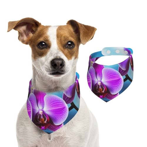 Sommerhalstücher für Hunde, schöne Orchideen-Hundehalstücher, waschbar, verstellbar, dreieckig, niedliches Haustier-Lätzchen für mittelgroße und große Hunde, Welpen und Katzen, klein Sommerhalstücher für Hunde, schöne Orchideen-Hundehalstücher, waschbar, verstellbar, dreieckig, niedliches Haustier-Lätzchen für mittelgroße und große Hunde, Welpen und Katzen, klein von GDSHJKLW