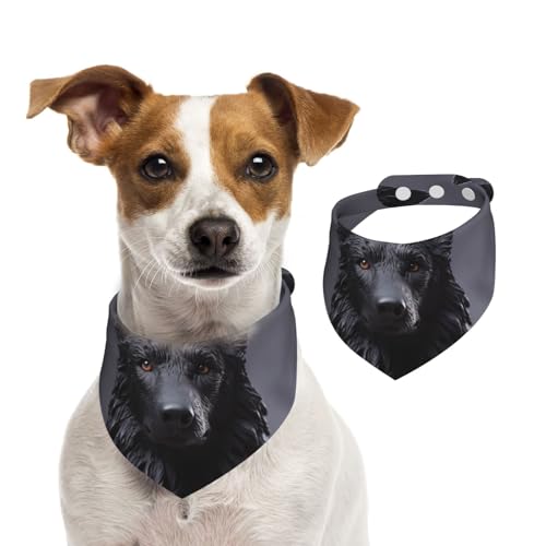 Sommerhalstücher für Hunde, schwarz, Deutscher Schäferhund, waschbar, verstellbar, Dreieckstuch Lätzchen für mittelgroße und große Hunde, Welpen und Katzen, klein von GDSHJKLW