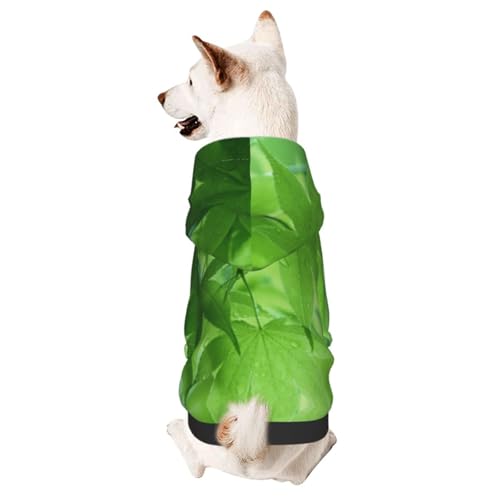 Green Nature Kapuzenpullover für kleine Haustiere, warm und leicht, weiche Textur, einfach zu tragen von GDSOPHLK