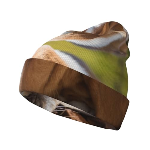 Modische Strickmütze für Erwachsene, für Herbst und Winter, Fischermütze, Strick, Unisex von GDSOPHLK