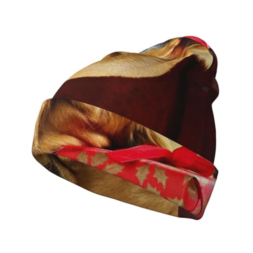 Weihnachtsmütze für Hunde und Erwachsene, modische Strickmütze, Thermomütze, Herbst-Wintermütze, Fischermütze, Strick, Unisex von GDSOPHLK