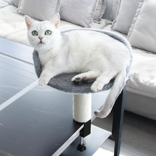 Katzenbett für Schreibtisch Kein Bohren, Katzenhaus über Schreibtisch Hält Kätzchen Katze Nah und Arbeitsbereich Klarer Tisch-Katzenbett, Weiches Katzenliege Katzenhängematte Katzenkorb zum Schlafen Katzenbett für Schreibtisch Kein Bohren, Katzenhaus über Schreibtisch Hält Kätzchen Katze Nah und Arbeitsbereich Klarer Tisch-Katzenbett, Weiches Katzenliege Katzenhängematte Katzenkorb zum Schlafen von GDWD