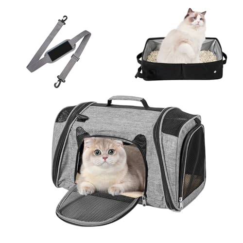 Transportbox Katze, Faltbare Katzentransportbox mit Katzenklo, Transporttasche mit Katzentoilette für Große Katzen Welpen und Kleine Hunde, Atmungsaktive Hundetragetasche Reisen mit Schultergurt Transportbox Katze, Faltbare Katzentransportbox mit Katzenklo, Transporttasche mit Katzentoilette für Große Katzen Welpen und Kleine Hunde, Atmungsaktive Hundetragetasche Reisen mit Schultergurt von GDWD