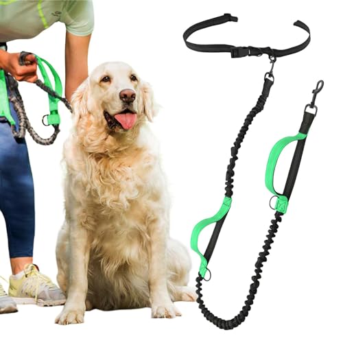 Gürtel-Seil für Hunde, freihändiges Seil für Hunde,Elastisches Zugseil für Hunde - Multifunktionales freihändiges Hundeseil, reflektierendes Hundeseil zum Gehen, Laufen, Training von GEBBEM