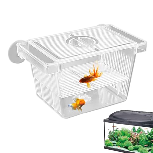 Transparente Aquarium-Zuchtbox, verstellbares Aquarium-Baby-Aquarium, sicherer Aquarium-Inkubator, isolierte Acryl-Zuchtbox mit Saugnäpfen, multifunktionales Süßwasser-Aquarium für Aggressive von GEBBEM