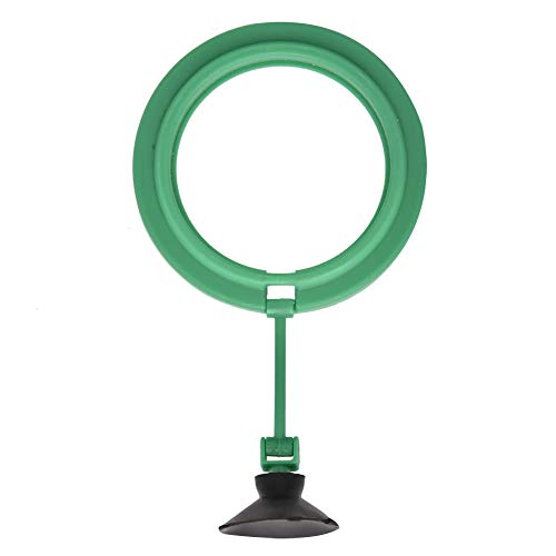 Fisch -Fütterungsring, Rundes Aquarium Floating Food Feeder Circle Aquarium Fütterungsring Fischfuttermittel mit Saugnetschale für Guppy, Betta, Goldfisch von GEERYZHE