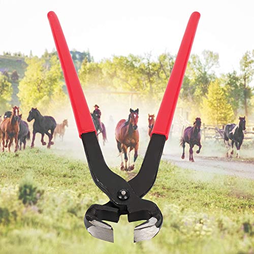 GEERYZHE Huftzugwerkzeuge, 16 -Zoll -Stahlhufnipper Trimmer Cutter Picks für Pferde Ziegenhufschneider Schuhputzwerkzeug für Fohlen, Shetland, Miniatur, Donkey Trimmen von GEERYZHE