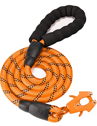 GEIT, Hundeleine aus robustem Seil, 61/122/152/183 cm, reflektierend, Nylon, mit Aluminium-Schnellverschluss/Verriegelung, taktischer Frosch-Clip, für kleine, mittelgroße, große Hunde, 1,27 cm, Orange GEIT, Hundeleine aus robustem Seil, 61/122/152/183 cm, reflektierend, Nylon, mit Aluminium-Schnellverschluss/Verriegelung, taktischer Frosch-Clip, für kleine, mittelgroße, große Hunde, 1,27 cm, Orange von GEIT