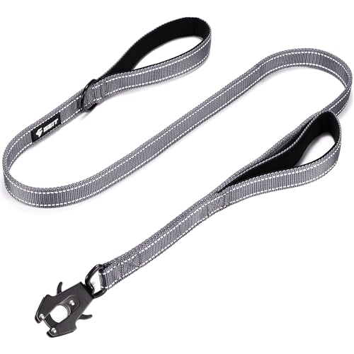 GEIT Robuste Hundeleine, 2 Griffe, reflektierende Seilleinen, Wanderleine mit Schnellverschluss/Verriegelung, taktischer Froschclip für kleine, mittelgroße und große Hunde, Grau GEIT Robuste Hundeleine, 2 Griffe, reflektierende Seilleinen, Wanderleine mit Schnellverschluss/Verriegelung, taktischer Froschclip für kleine, mittelgroße und große Hunde, Grau von GEIT