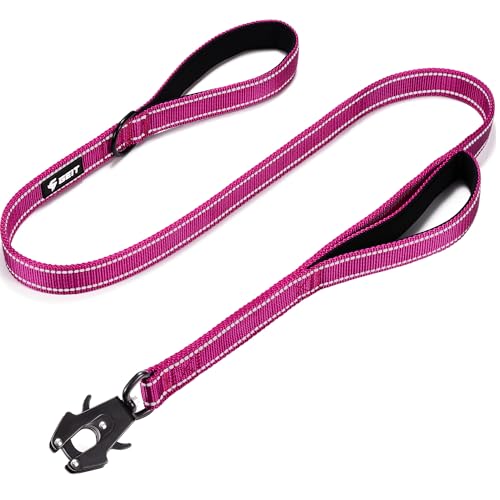 GEIT Robuste Hundeleine, 2 Griffe, reflektierende Seilleinen, Wanderleine mit Schnellverschluss/Verriegelung, taktischer Froschclip für kleine, mittelgroße und große Hunde, Rose GEIT Robuste Hundeleine, 2 Griffe, reflektierende Seilleinen, Wanderleine mit Schnellverschluss/Verriegelung, taktischer Froschclip für kleine, mittelgroße und große Hunde, Rose von GEIT
