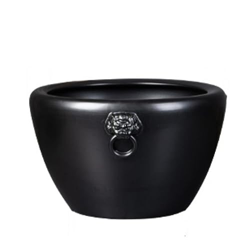 Aquarium, Keramik, Koi-Goldfisch, groß, Hoftür, Seerosen-Tank, Lotus-Tank, Garten, Innendekoration, Ornamente, Glas, Aquarium, 41 cm Aquarium, Keramik, Koi-Goldfisch, groß, Hoftür, Seerosen-Tank, Lotus-Tank, Garten, Innendekoration, Ornamente, Glas, Aquarium, 41 cm von GELASIGE