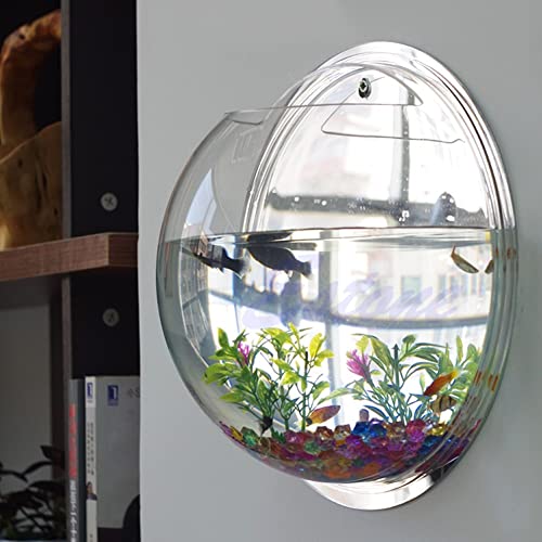 GELASIGE Aquarium, Wandmontage, Acryl, Wandmontage, Pflanzgefäß, Glasschale, Aquarium-Set GELASIGE Aquarium, Wandmontage, Acryl, Wandmontage, Pflanzgefäß, Glasschale, Aquarium-Set von GELASIGE