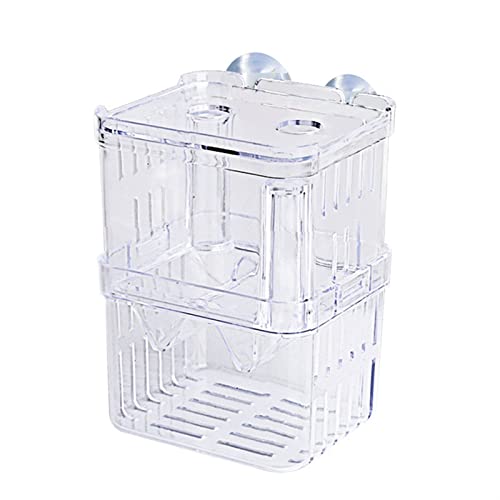 GELASIGE Aquarium, doppellagig, transparent, für Aquarium, Pflanzung, Inkubator, Fischhaus, ökologische Landschaft, Glas, Aquarium, Größe M GELASIGE Aquarium, doppellagig, transparent, für Aquarium, Pflanzung, Inkubator, Fischhaus, ökologische Landschaft, Glas, Aquarium, Größe M von GELASIGE