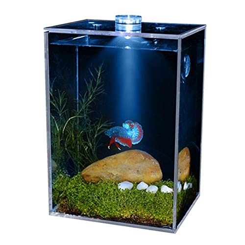 GELASIGE Aquarium, klein, super transparent und klar, quadratisch, führendes Aquarium, Aquarium, Pflanzen-Begrünung, Wassertank, Glas-Fischtank (weiße Beleuchtung, XS) von GELASIGE