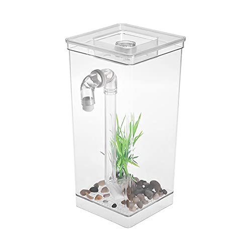 GELASIGE Aquarium, mit Bleirohr, kleiner Aquarium, Tisch, Aquarium, Pflanze, Vase, Aquarium, Wasserproduktion, Glas GELASIGE Aquarium, mit Bleirohr, kleiner Aquarium, Tisch, Aquarium, Pflanze, Vase, Aquarium, Wasserproduktion, Glas von GELASIGE