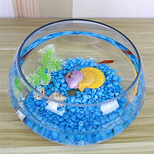 GELASIGE Aquarium, rund, goldfarben, ökologisch, kreativ, Glas, große Schildkröte, Hydrokultur-Vase, Aquarium, Glas, 25 cm GELASIGE Aquarium, rund, goldfarben, ökologisch, kreativ, Glas, große Schildkröte, Hydrokultur-Vase, Aquarium, Glas, 25 cm von GELASIGE