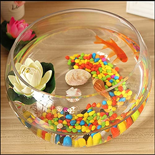 GELASIGE Aquarium, rund, goldfarben, ökologisch, kreativ, Glas, große Schildkröte, Hydrokultur-Vase, Aquarium, Glas, 30 cm GELASIGE Aquarium, rund, goldfarben, ökologisch, kreativ, Glas, große Schildkröte, Hydrokultur-Vase, Aquarium, Glas, 30 cm von GELASIGE