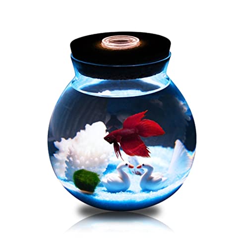 GELASIGE Aquarium-Dekoration für Aquarium, Pflanzendekoration, Hintergrund, Haustierzubehör, Landschaft, Öko-Flasche, Glas, Aquarium von GELASIGE