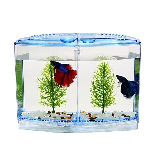 GELASIGE Aquariumbox, transparent, Doppelkapsel-Schlüpfen, Doppelschicht-Inkubator, Büro, Aquarium, Glas GELASIGE Aquariumbox, transparent, Doppelkapsel-Schlüpfen, Doppelschicht-Inkubator, Büro, Aquarium, Glas von GELASIGE