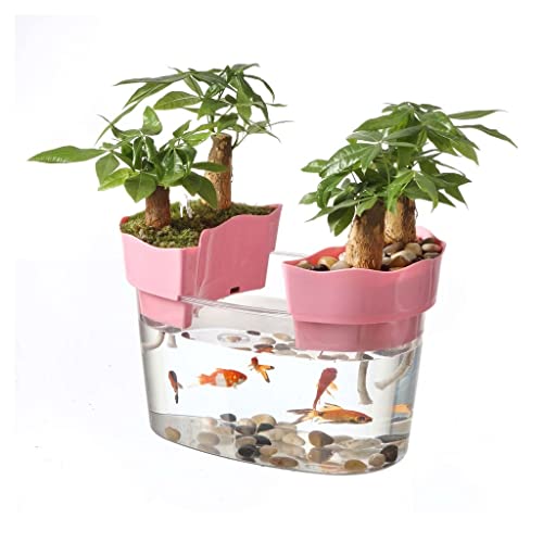 GELASIGE Kreatives Aquarium, kleine Schildkröte, Goldfisch, Schreibtisch, Zuhause, ökologisches Aquarium, Landschaftsbau, Bonsai-Glas, 35 cm GELASIGE Kreatives Aquarium, kleine Schildkröte, Goldfisch, Schreibtisch, Zuhause, ökologisches Aquarium, Landschaftsbau, Bonsai-Glas, 35 cm von GELASIGE