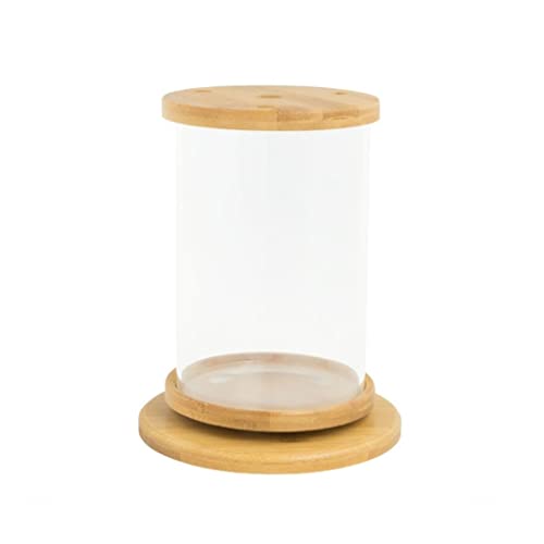 GELASIGE Kreatives drehbares Desktop-Aquarium, transparentes Glas, klein, dekorativ, für Büro, Zuhause, ökologische Flasche GELASIGE Kreatives drehbares Desktop-Aquarium, transparentes Glas, klein, dekorativ, für Büro, Zuhause, ökologische Flasche von GELASIGE